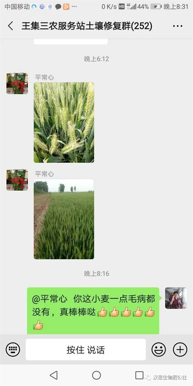 小麥“三病一害”要防？用它全部解決！